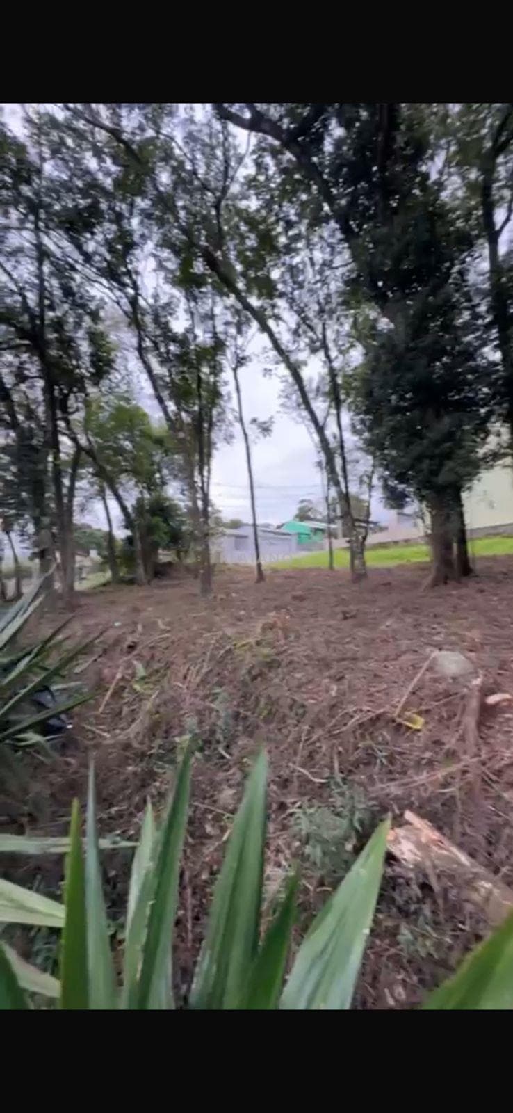 TERRENO, 392M² ÁREA TOTAL para venda EM CIDADE NOVA - foto 3