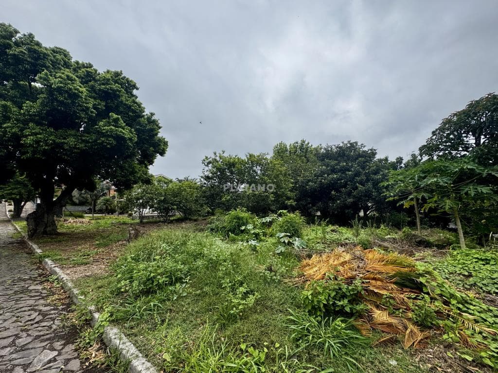 TERRENO, 705M² ÁREA TOTAL para venda EM VINTE E CINCO DE JULHO - foto 3