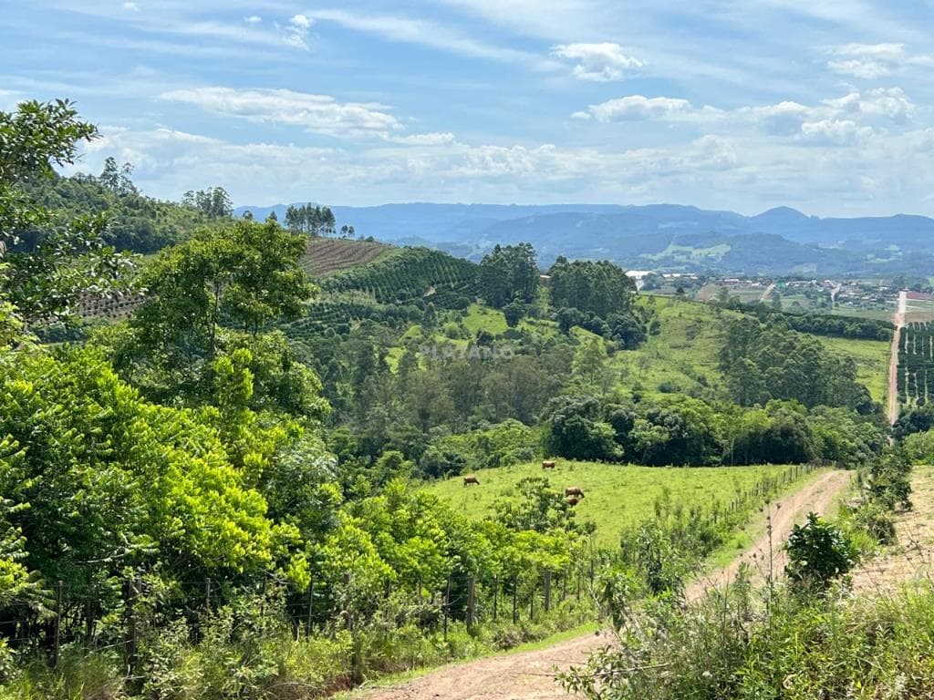 ÁREA DE TERRAS, 239000M² ÁREA PRIVATIVA para venda EM CENTRO - foto 1