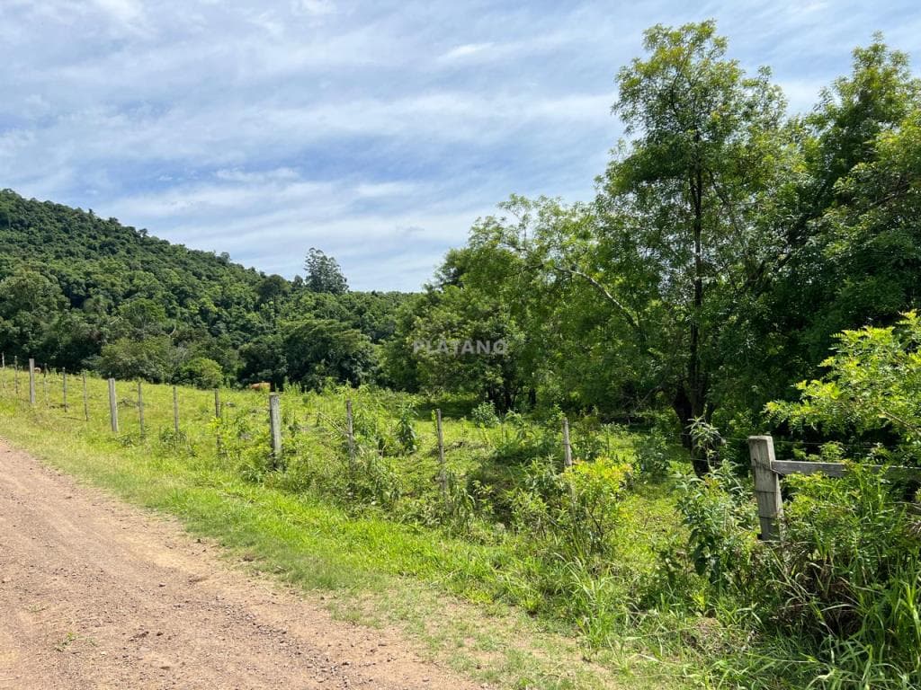 ÁREA DE TERRAS, 239000M² ÁREA PRIVATIVA para venda EM CENTRO - foto 2