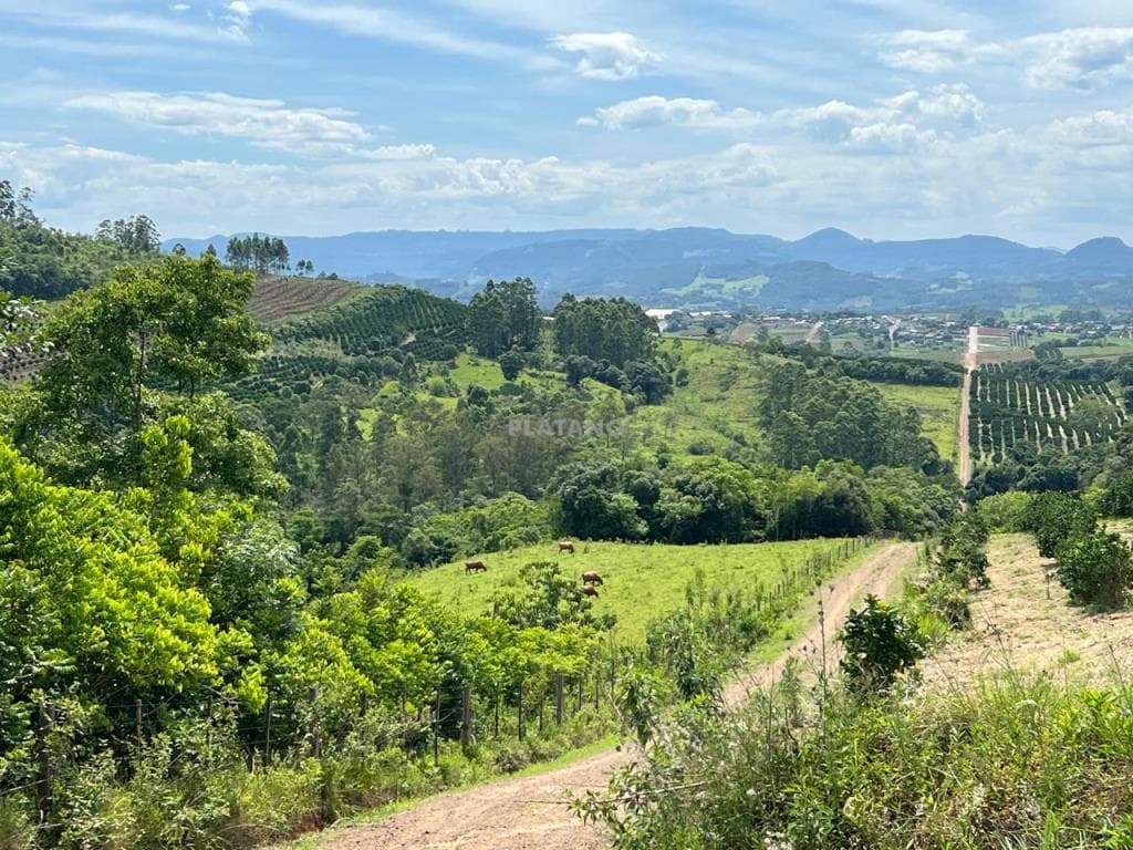 ÁREA DE TERRAS, 239000M² ÁREA PRIVATIVA para venda EM CENTRO - foto 3