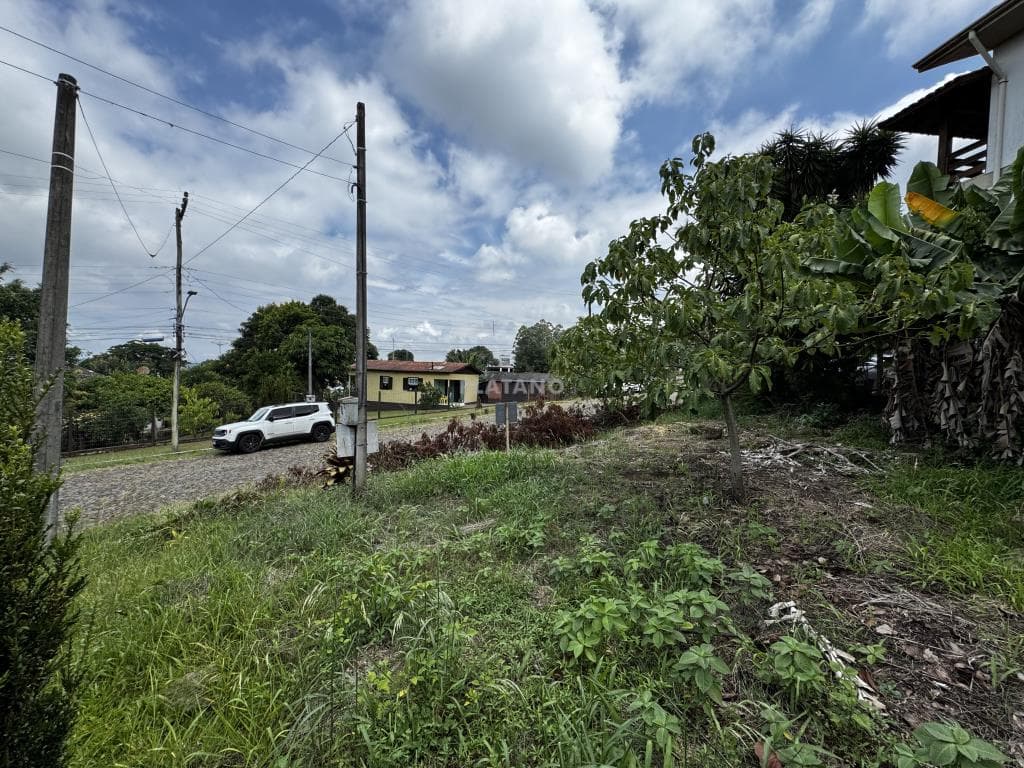 TERRENO, 403M² ÁREA TOTAL para venda EM CIDADE NOVA - foto 3