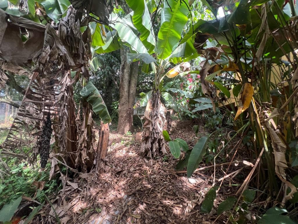 CASA COM 2 DORMITÓRIOS, 4 VAGAS, 69M² ÁREA PRIVATIVA para venda EM SETE DE SETEMBRO - foto 3