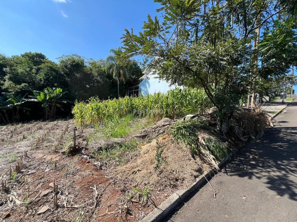 TERRENO, 572M² ÁREA TOTAL para venda EM CONCÓRDIA - foto 1