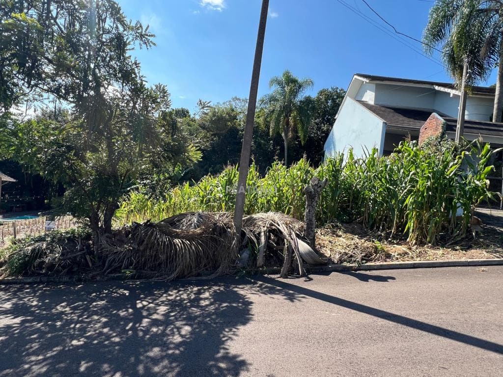 TERRENO, 572M² ÁREA TOTAL para venda EM CONCÓRDIA - foto 2