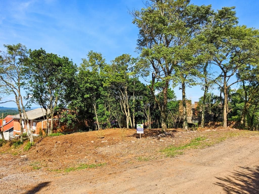 TERRENO, 896M² ÁREA TOTAL para venda EM JARDIM PANORÂMICO - foto 3