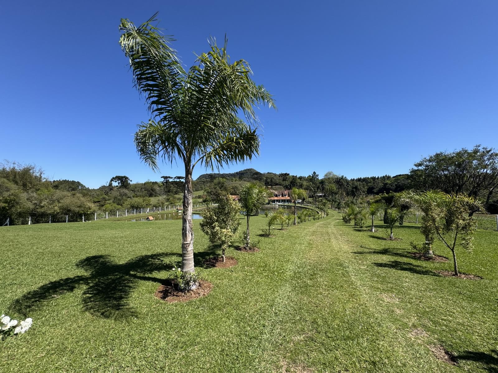 CHÁCARA / SÍTIO COM 7 DORMITÓRIOS (1 SUÍTE), 5 VAGAS, 400M² ÁREA PRIVATIVA para venda EM CENTRO - foto 2