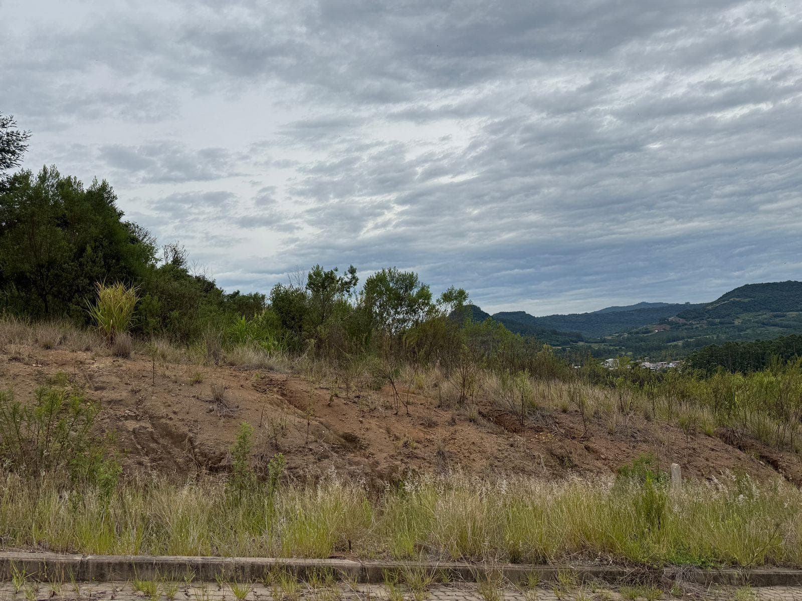 TERRENO, 366M² ÁREA TOTAL para venda EM CENTRO - foto 2