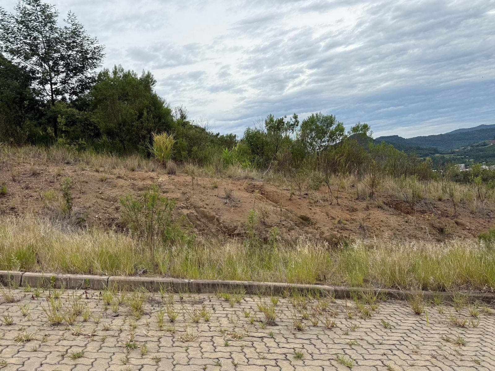 TERRENO, 366M² ÁREA TOTAL para venda EM CENTRO - foto 3