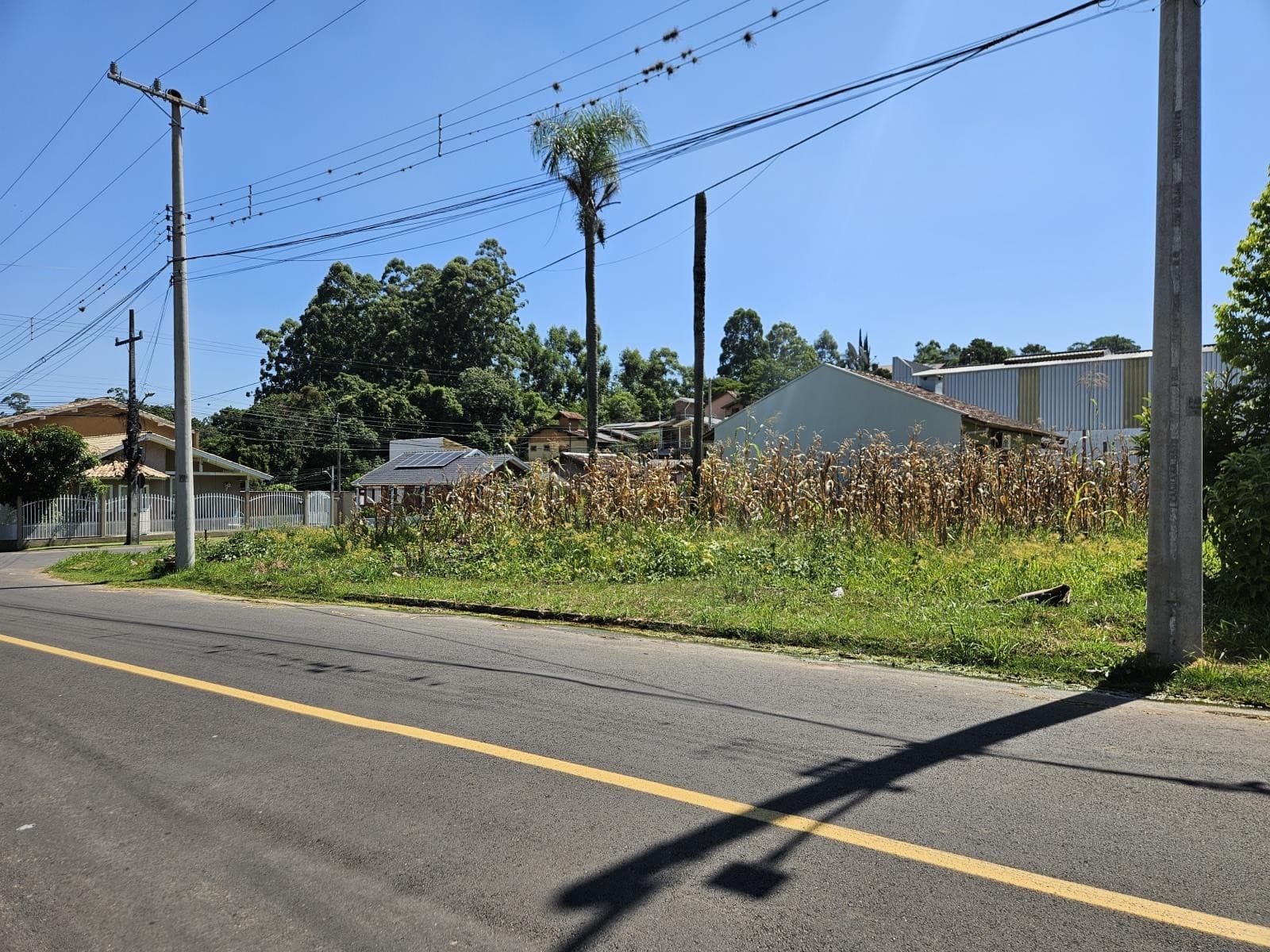 TERRENO, 364M² ÁREA TOTAL para venda EM CIDADE NOVA - foto 3