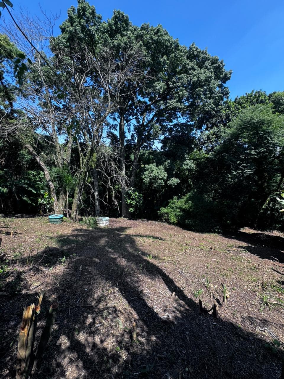 Terreno para Venda no Travessão em Dois Irmãos