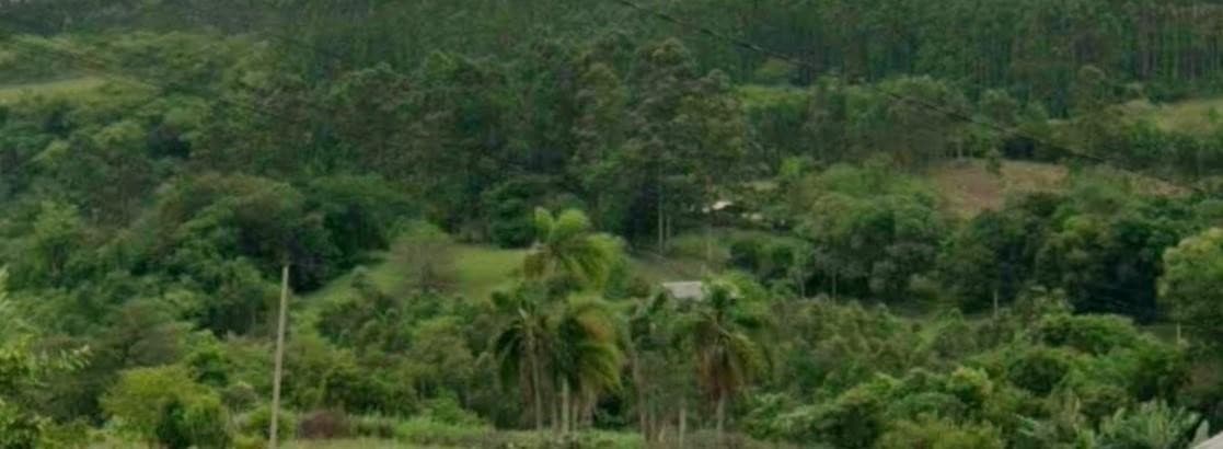 ÁREA DE TERRAS, 55000M² ÁREA TOTAL para venda EM CENTRO - foto 1