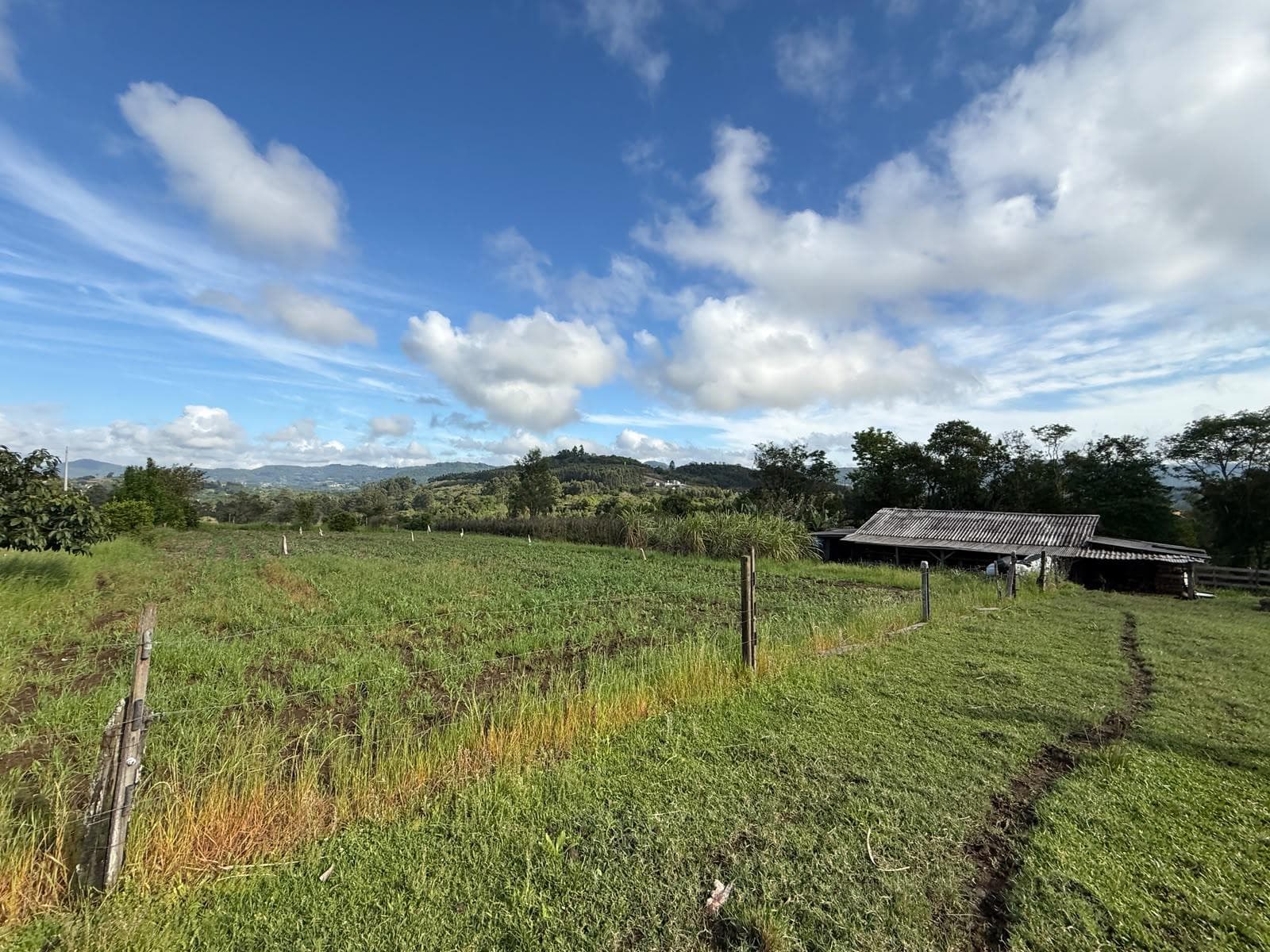 ÁREA DE TERRAS, 55000M² ÁREA TOTAL para venda EM CENTRO - foto 3