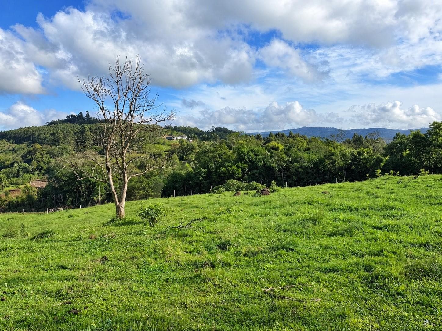 ÁREA DE TERRAS, 55000M² ÁREA TOTAL À VENDA EM CENTRO