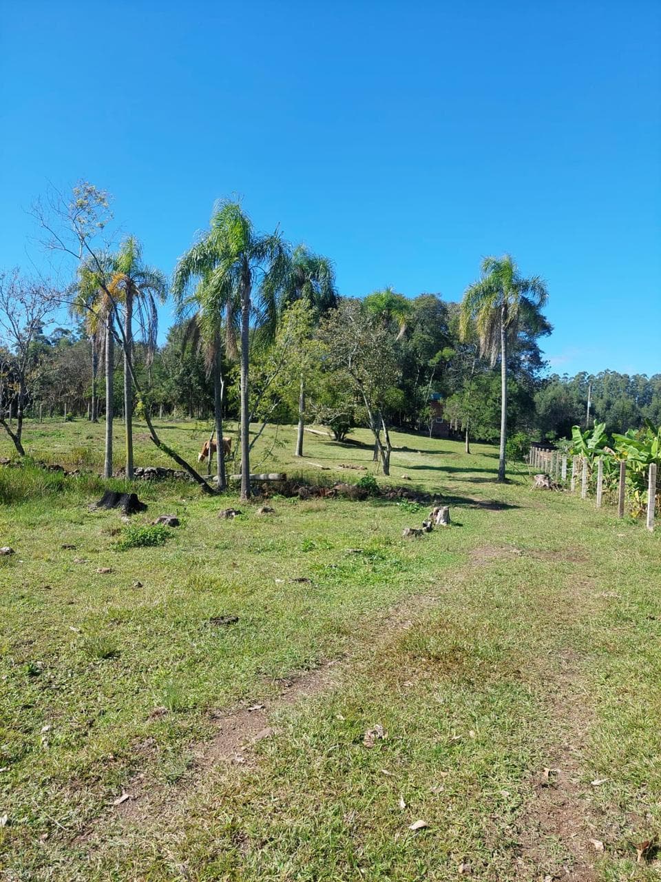 CHÁCARA / SÍTIO COM 1 DORMITÓRIO, 15M² ÁREA PRIVATIVA para venda EM CAMPESTRE - foto 1