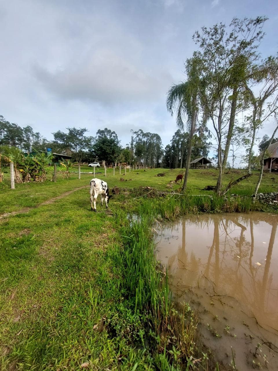 CHÁCARA / SÍTIO COM 1 DORMITÓRIO, 15M² ÁREA PRIVATIVA para venda EM CAMPESTRE - foto 3